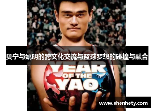 贝宁与姚明的跨文化交流与篮球梦想的碰撞与融合